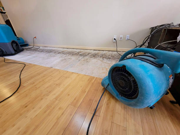 Professional Water Damage Repair technician working in Portersville, PA