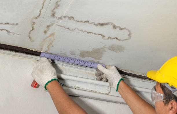 Affordable Water Damage Repair solutions in Portersville, PA